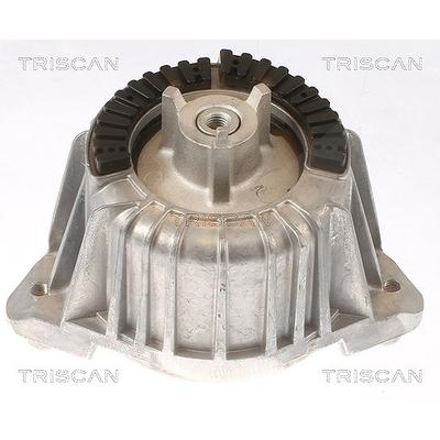 Triscan Lagerung, Motor [Hersteller-Nr. 850523101] für Mercedes-Benz
