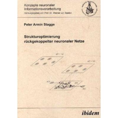 Strukturoptimierung rückgekoppelter neuronaler Netze, Taschenbuch von Peter Stagge, Ibidem, 978-3-89821-091-1