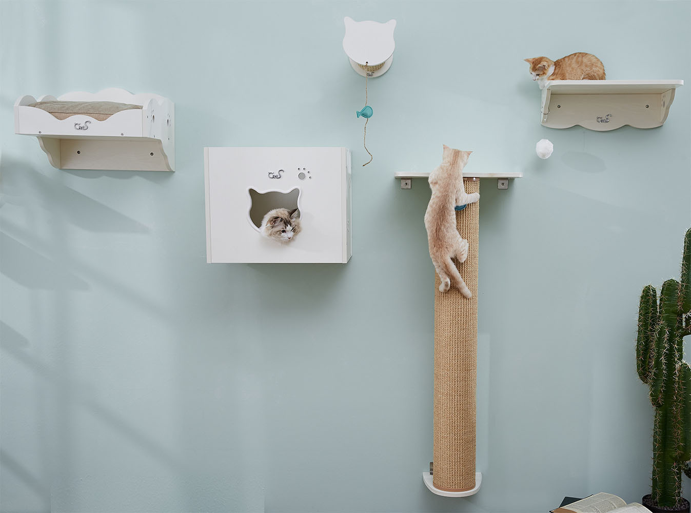 CatS Design Katzen Kletterwand Set xxl große Katzen stabil 5 Teilig Wandkratzbaum T3
