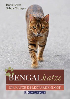 Boris Ehret - Bengalkatze: Die Katze im Leopardenlook - Preis vom 06.10.2026 07:26:00 h