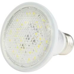 Venso LED-Pflanzenlampe Grow Lights Winter 100 mm E27 7 W Tageslichtweiß 1 St. E501020