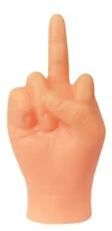 Uplifted Finds Funny Finger Puppets For Cat Play middle Finger