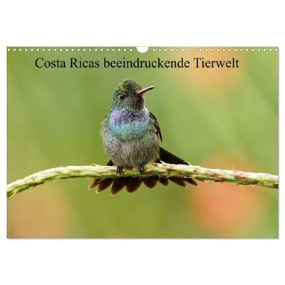Costa Ricas beeindruckende Tierwelt (Wandkalender 2027 DIN A3 quer), CALVENDO Monatskalender