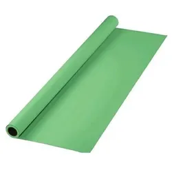 Hama Hintergrund, Karton, 2,75 x 11 m, Greenscreen-geeignet, Minzgrün (275 cm, 1100 cm), Hintergrundsystem, Grün