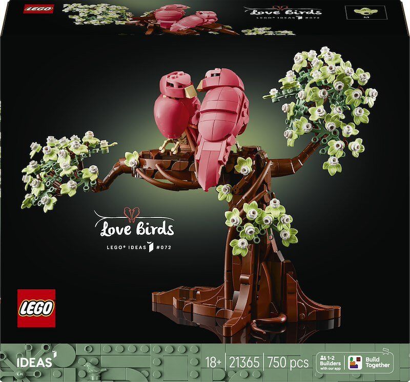 Lego Uccellini innamorati 21365