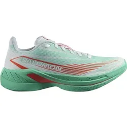 SALOMON Damen Laufschuhe SHOES SPECTUR 2 W Bay/Chert/Electg, Größe 40 2⁄3 in Grün Grün