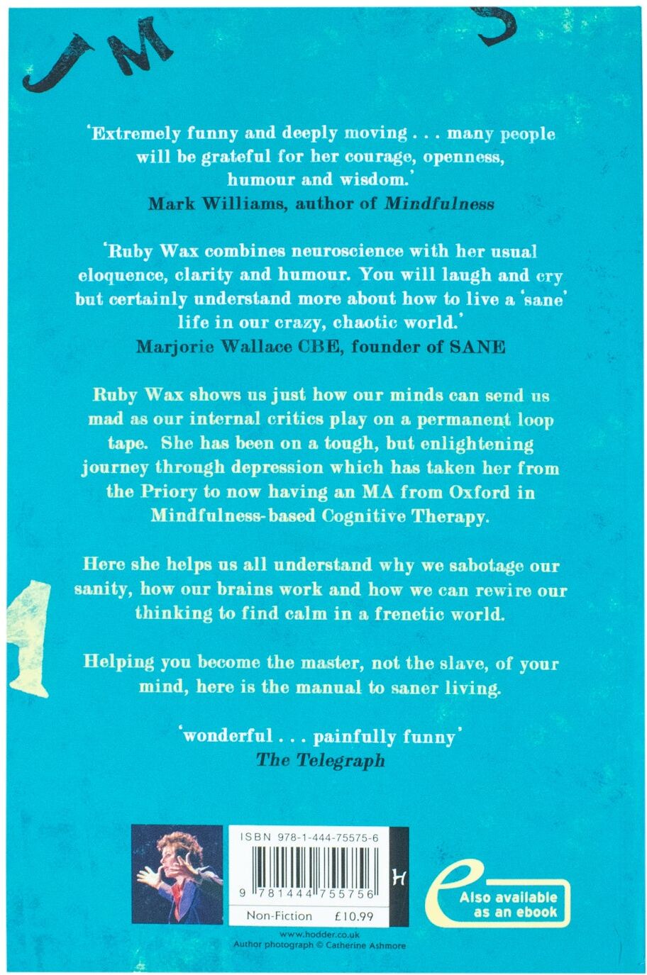 HODDER PUBLISHING Sane New World: Taming the Mind by Ruby Wax – Mental Health & Mindfulness Guide