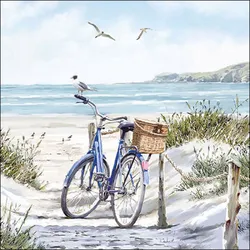 Ambiente 20 Servietten Papier 33x33cm 3-lagig - hochwertige Einweg Papierservietten Fahrrad Dünen Meer Möwe Küste maritim Sommer Strand Naturmotiv Tischdeko