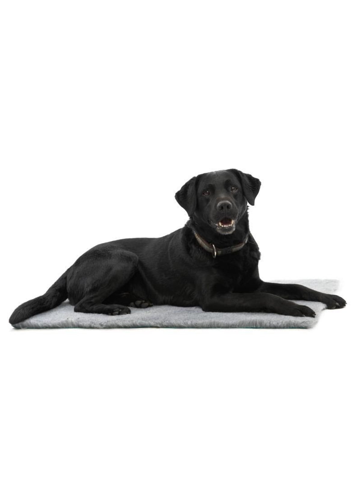 KRUUSE Vet Bed, grau, 150 x 75 cm