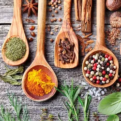 EUROART Wandbild 30 x cm Herbs and spices Holz Bunt