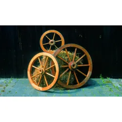 Garten Deko Holzrad Ø 50 cm - Holzrad aus Fichtenholz, Honigbraun – Deko Rad für Garten - ideal als Dekoration für die Terrasse