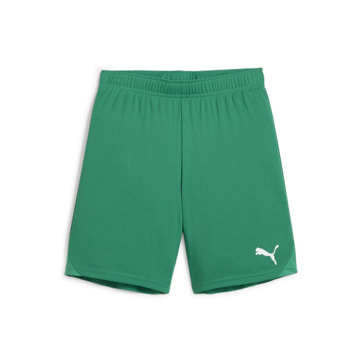 Puma Teamgoal Shorts Jr sport green-puma white (05) 176 705753-05-176