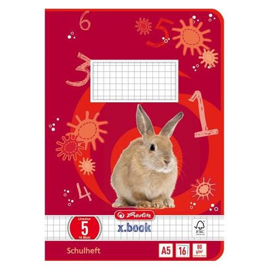 Herlitz Schulheft x.book, DIN A5, Lineatur 5 / kariert (A5, Kariert) (3320504)