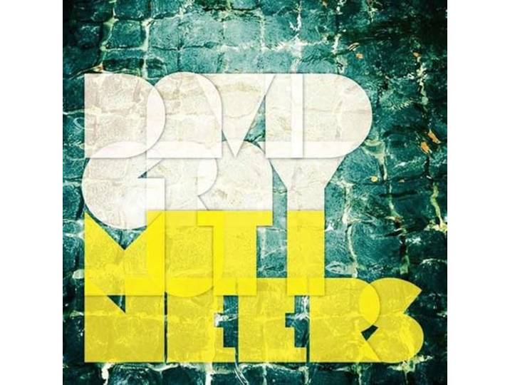 David Gray - Mutineers