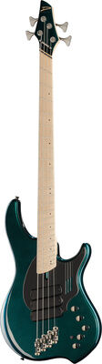Dingwall NG3 Nolly Sig.4 Black Forrest Black Forrest Matte