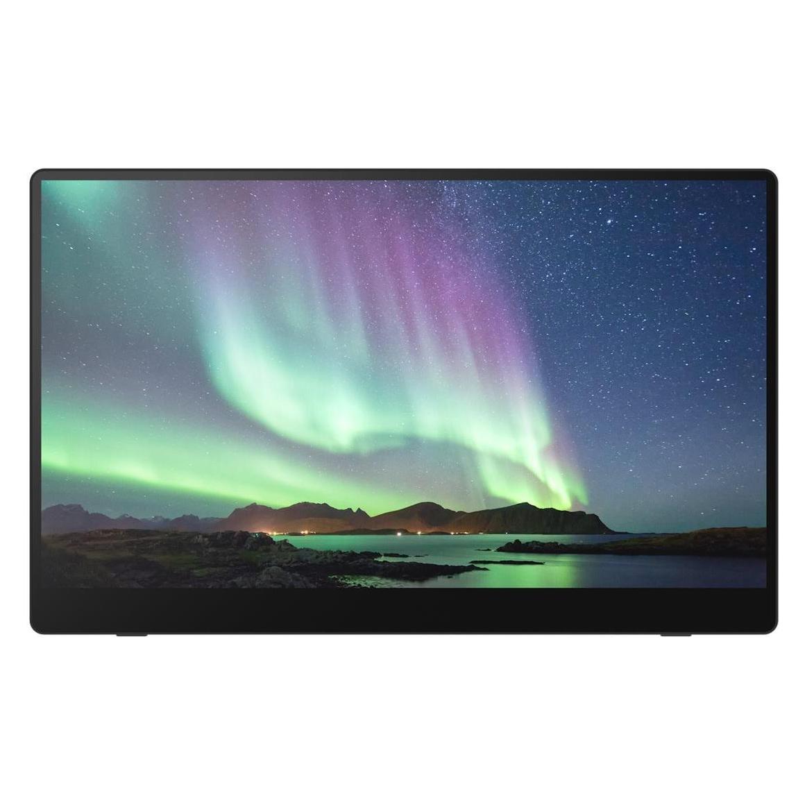 Ricoh PORTABLE MONITOR 150 (1920 x 1080 Pixel, 15.60") (514909)