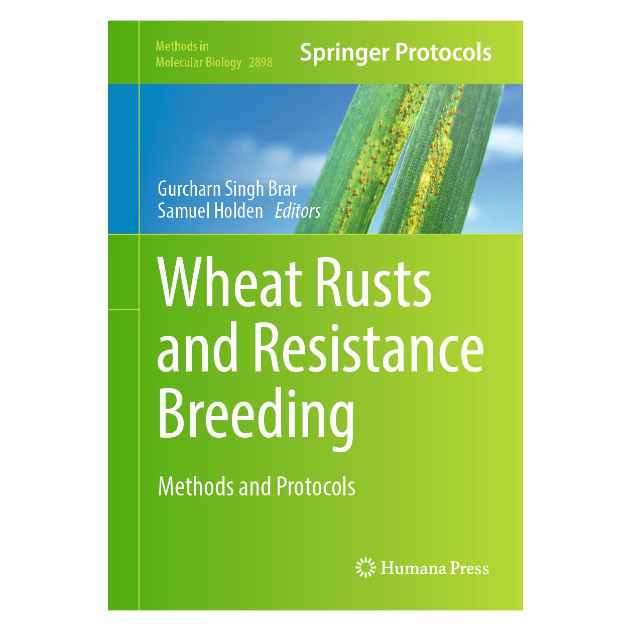 Springer Wheat Rusts and Resistance Breeding (Englisch, Hardcover, Holden, Singh Brar Gurcharn) (61626940)