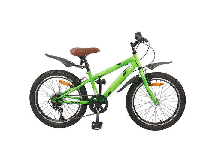vidaXL Kinderfahrrad 24 Zoll 6-Geschwindigkeit für 8-12 Jahre alt Grün