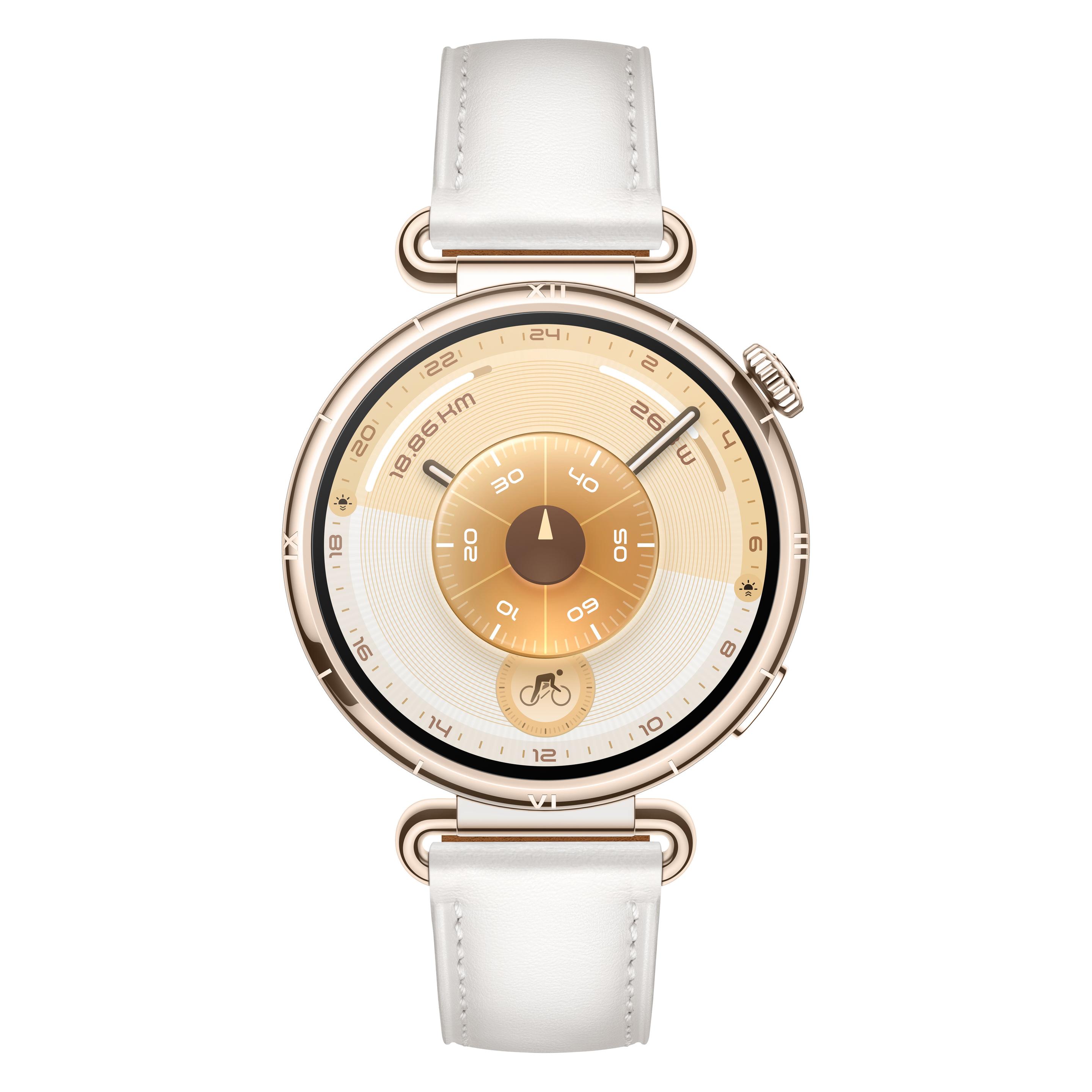 Huawei Watch GT6 (41 mm, Edelstahl, Gold, ohne SIM) (Konsu-B19L)