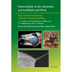 Unterschiede in der Anatomie von Esel/Muli und Pferd, Fachbücher von Horst Wissdorf, Hassen Jerbi, Anton Fürst