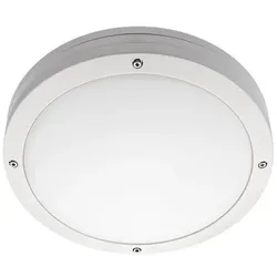 SG Leuchten Wandleuchte 2x E27 621826