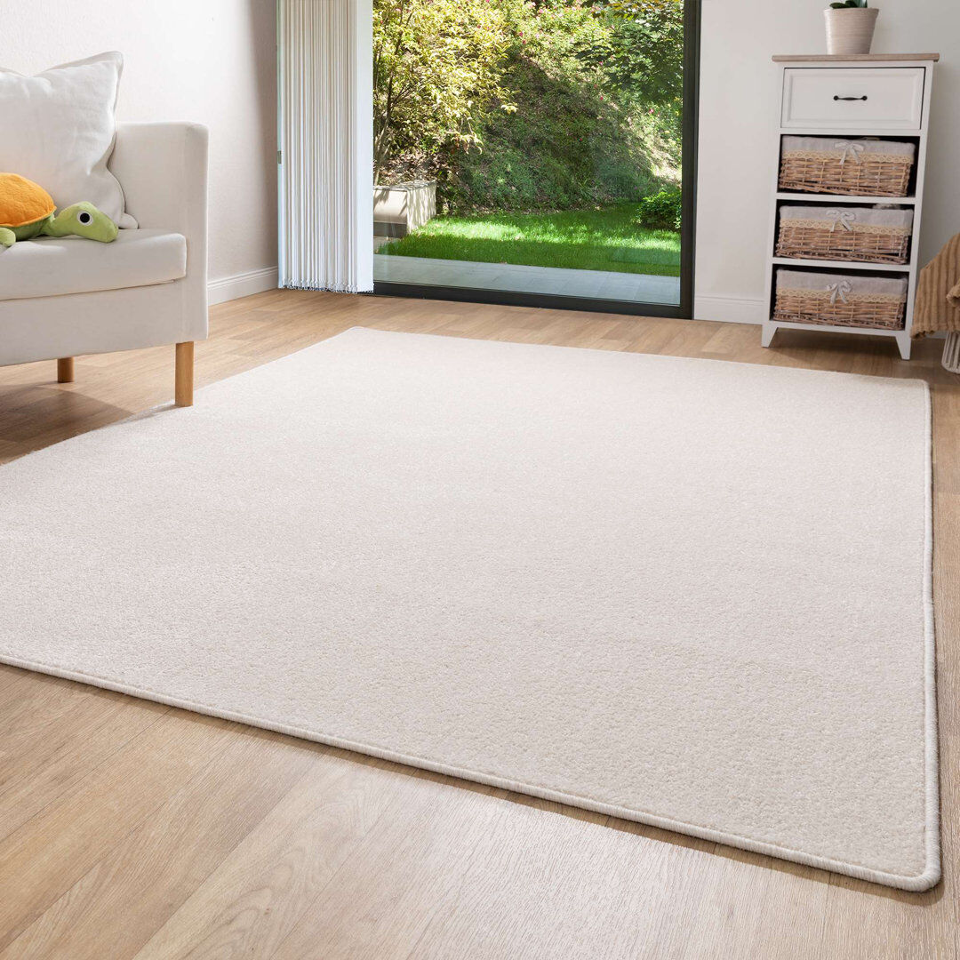 Latitude Run Aspermont Area Rug Rectangular 200 x 300cm