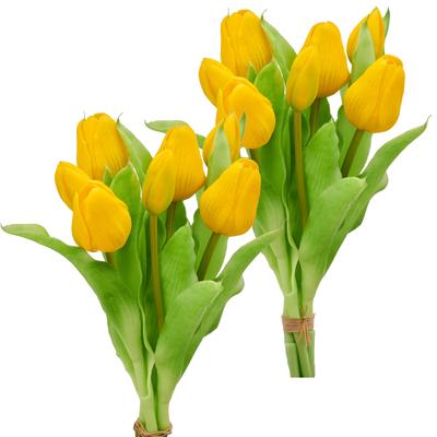 Creativ green "Tulpenbund" in schöner Farbe
