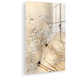 ACRYLGLASBILD Löwenzahn - Abstrakt - Natur - Beige Wanddeko Wohnzimmer 40x60 cm