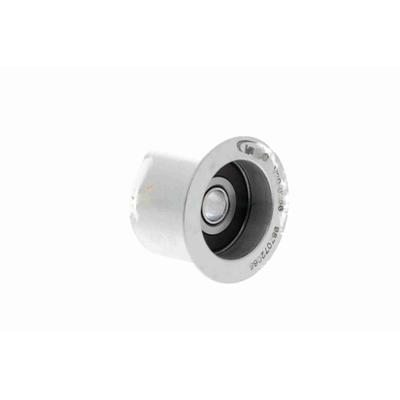 VAICO Umlenk-/Führungsrolle, Zahnriemen Spannrolle, Original Qualität v200256 für BMW