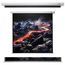 celexon Leinwand Motor Economy 280 x 280 cm
