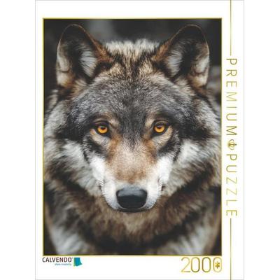 CALVENDO Puzzle Augen, die die Geheimnisse der Wildnis kennen | 2000 Teile Lege-Größe 90 × 67 cm Foto-Puzzle für glückliche Stunden, von , Calvendo