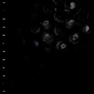 Ice Melt - CRUMB, Vinyl