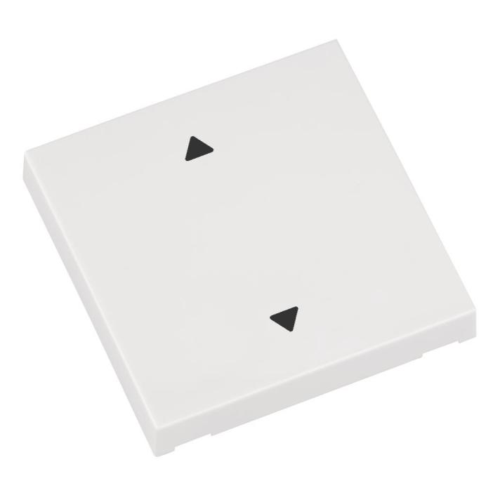 Eldat Taste Auf/Zu ws RTS22-ACC-03-02P f.Wandtaster RTS22 (RTS22ACC0302P)