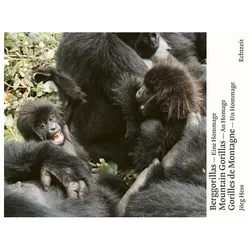 Berggorillas. Gorilles de montagne. Mountain Gorillas, Ratgeber von Jörg Hess