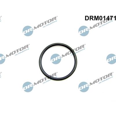 DR.MOTOR AUTOMOTIVE Dichtung, Leitung AGR-Ventil drm01471 für Ford