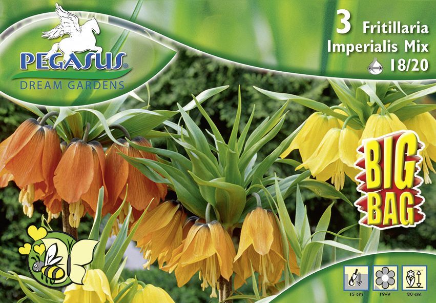 Pegasus Blumenzwiebeln BigBag Fritillaria Kaiserkronen Mix Inhalt: 3 Stück