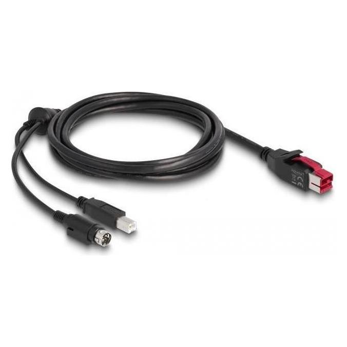 Delock 85489 PoweredUSB Kabel Stecker 24 V (3 m, USB 2.0) (85489)