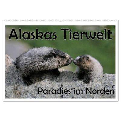 Alaskas Tierwelt - Paradies im Norden (Wandkalender 2026 DIN A2 quer), CALVENDO Monatskalender