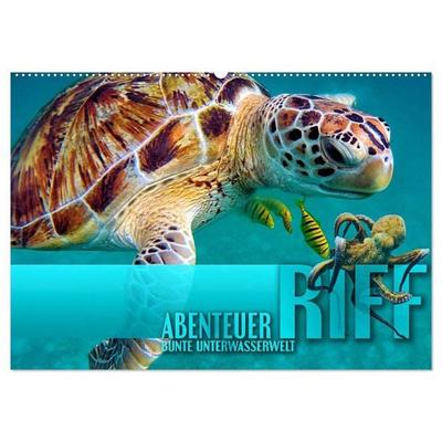 Abenteuer Riff - bunte Unterwasserwelt (Wandkalender 2027 DIN A2 quer), CALVENDO Monatskalender