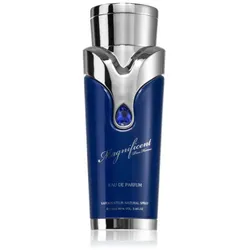 Armaf Magnificent Pour Homme Eau De Parfum 100ml Spray