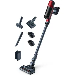 Rowenta XPert 6.60 Animal, Staubsauger, Rot, Grau