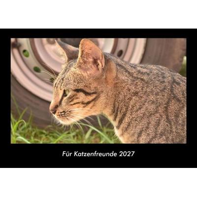 Für Katzenfreunde 2027 Fotokalender DIN A3