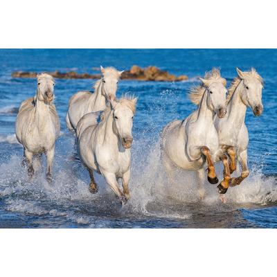 Papermoon "PFERDE-CAMARGUE GALLOP STRAND MEER TIERE KÜSTE PROVENCE"