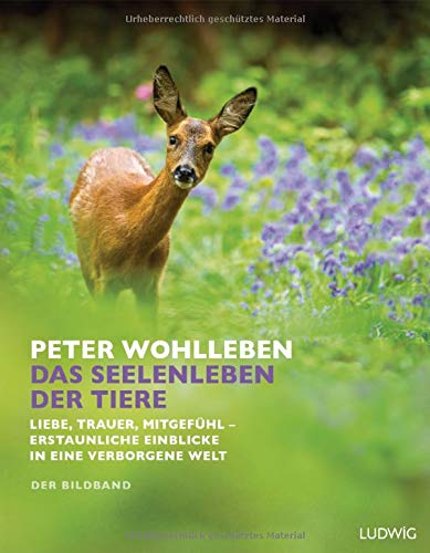 Peter Wohlleben - Das Seelenleben der Tiere: Liebe, Trauer, Mitgefühl – erstaunliche Einblicke in eine verborgene Welt. Der Bildband. Mit dem vollständigen Text der Originalausgabe - Preis vom 18.10.2026 19:22:15 h
