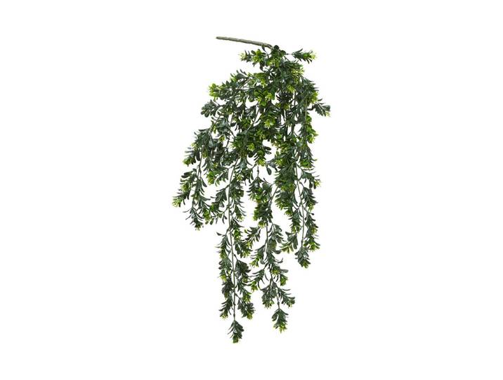 Mica Schefflera Hängend Grün 75 × 20 × 10 cm