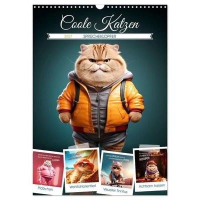 COOLE KATZEN Sprücheklopfer (Wandkalender 2027 DIN A3 hoch), CALVENDO Monatskalender