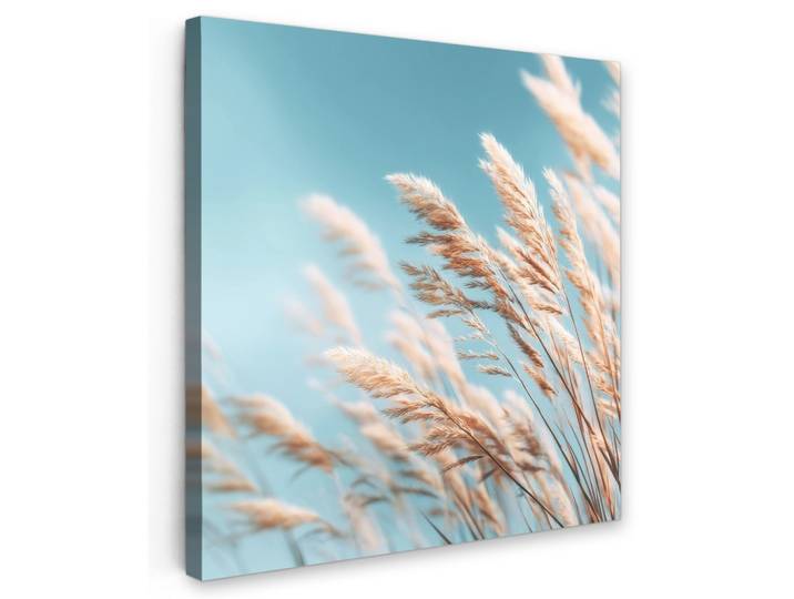 LEINWANDBILD Ziergras - Wind - Hellbraun Wandbild Wohnzimmer 50x50 cm