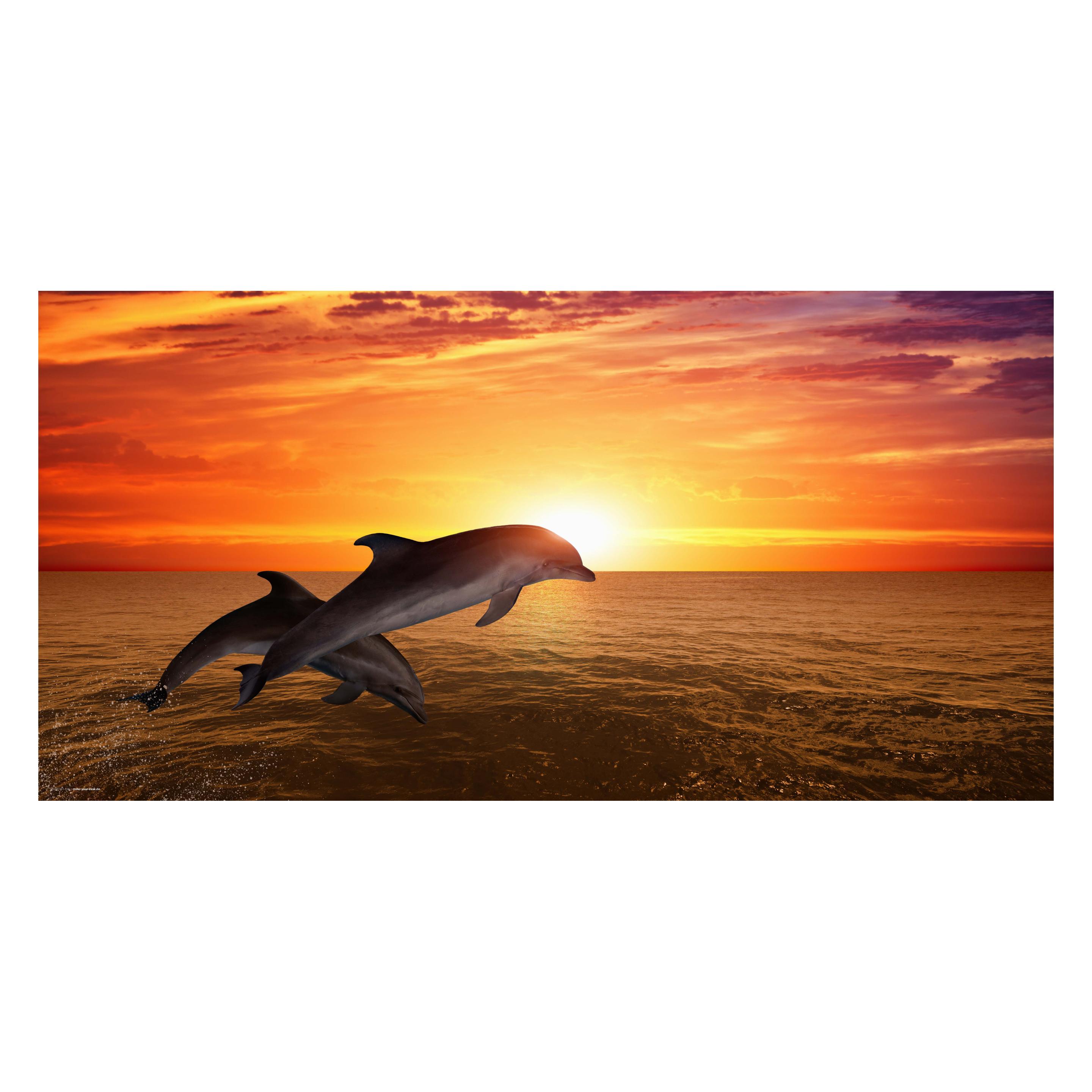 CoverYourDesk Schreibtischunterlage Delfine im Sonnenuntergang (21557560)