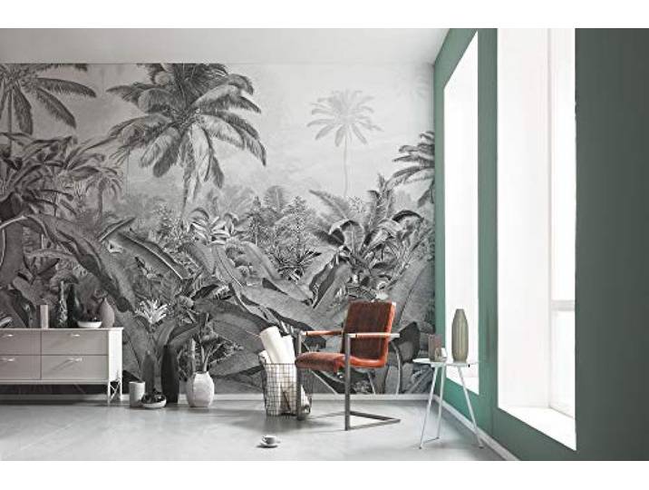 Komar Amazonia Black and White Vlies Fototapete 400x250cm 4-bahnen.