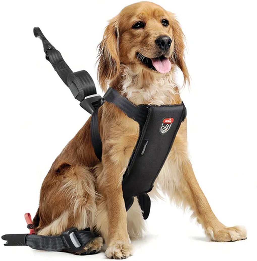 Zolux Babyauto Dog Travel Imbracatura di Sicurezza Nera S